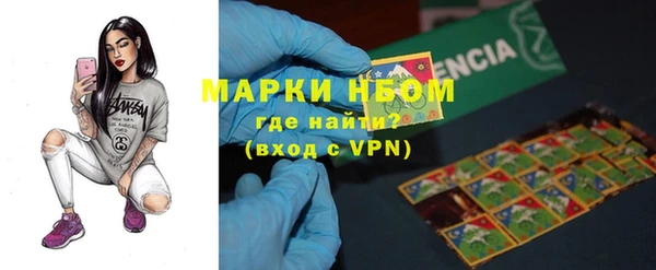 стаф Надым