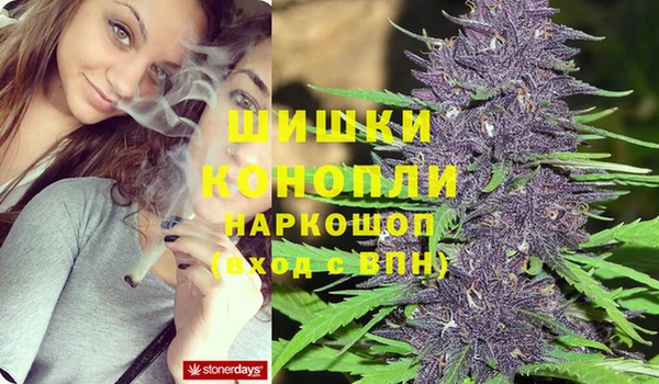 ГАЛЛЮЦИНОГЕННЫЕ ГРИБЫ Никольск