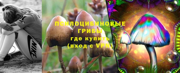 стаф Надым