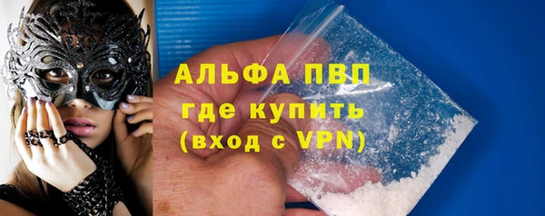 стаф Надым