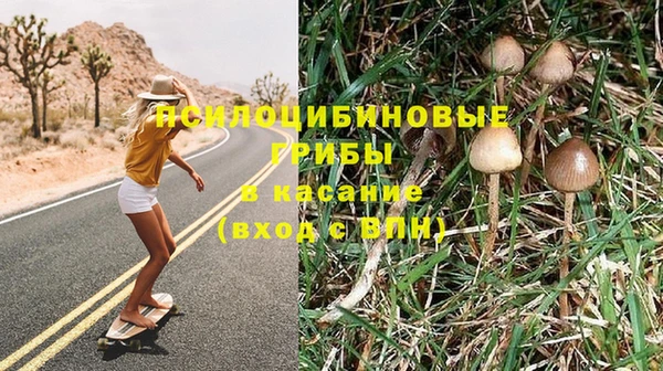 стаф Надым
