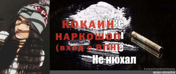 стаф Надым
