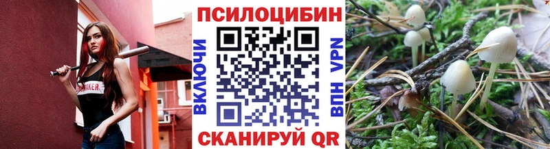 Галлюциногенные грибы мицелий  Ужур 